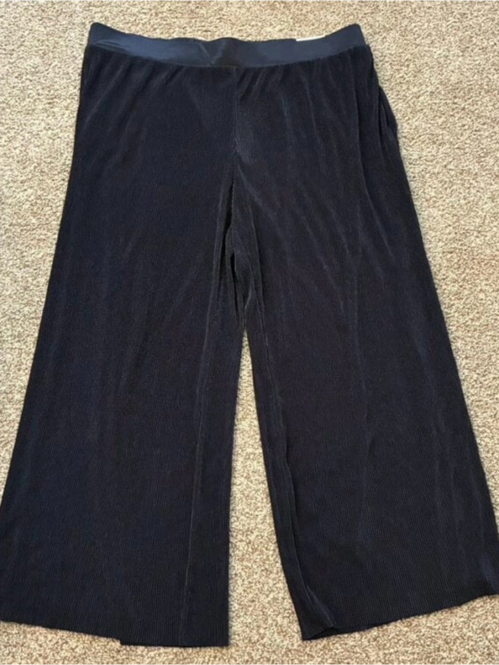 Lane Bryant Black Plisse Pleated Wide Leg Pants Size 22/24 Dressy Business